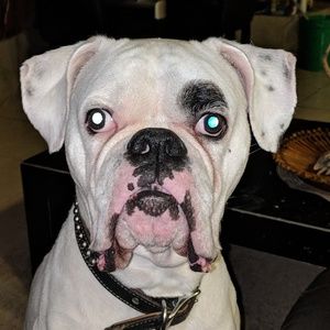 Meet your Posher, Aaron